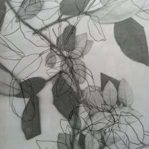 Botanical, 2014 (cyfrowy) autorstwa Stephen Dow
