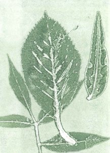Gone IX, 2015 (monoprint na papierze) autorstwa Stephen Dow