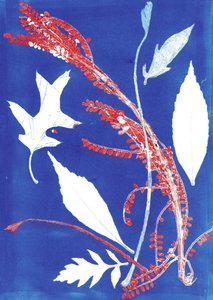 Jol I, 2017 (monoprint na papierze) autorstwa Stephen Dow