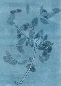 Midnight Garden I, 2015 (monoprint na papierze) autorstwa Stephen Dow