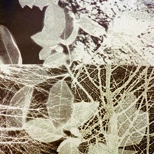 Night Forest, 2018 (w wersji cyfrowej) autorstwa Stephen Dow