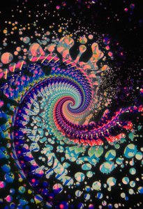 Spiral Dead, 2024 r.