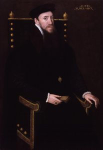 Henry Fitzalan, 12. hrabia Arundel