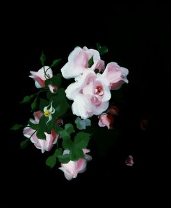 Różowe róże. Obraz autorstwa Stuarta Parka (1862-1933) Kolekcja prywatna. autorstwa Stuart Park