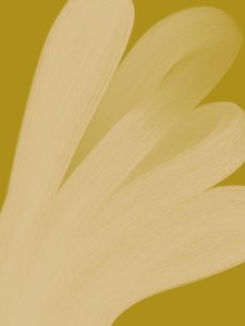 Streszczenie: „Golden Flow” autorstwa Studio Palette