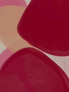 Karmazynowe brzoskwiniowe krągłości autorstwa Studio Palette