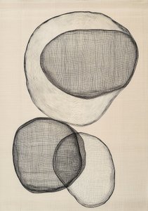 Płynne, abstrakcyjne formy autorstwa Studio Palette