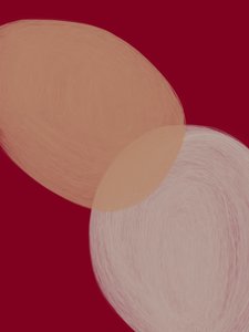 Nowoczesne formy abstrakcyjne autorstwa Studio Palette