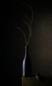 Martwa natura z ciemną butelką autorstwa Sumit Dhuper