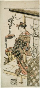 Aktor Segawa Kikunojo II jako kurtyzana Umegae w sztuce „Hiragana Seisuiki”, wystawionej w Teatrze Ichimura w pierwszym miesiącu 1764 autorstwa Suzuki Harunobu