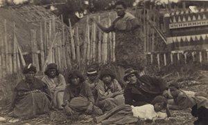 W Pawhakiro Pa, Hawkes Bay, Nowa Zelandia, ok. 1865 (druk albumowy) autorstwa Swan and Wrigglesworth