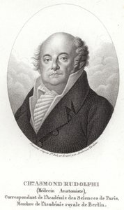 Karl Asmund Rudolphi autorstwa Swedish School
