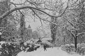 Neuchatel, Ogród Angielski (zdjęcie czarno-białe) autorstwa Swiss Photographer