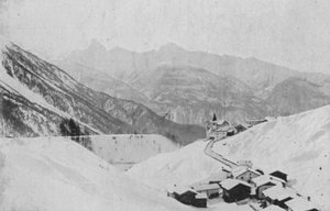 Wiesen przed Davos (zdjęcie czarno-białe) autorstwa Swiss Photographer