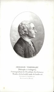 Abraham Trembley autorstwa Swiss School