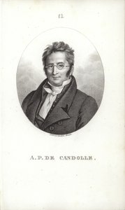 Augustyn Pyramus de Candolle autorstwa Swiss School