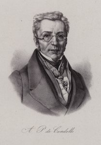 Augustin Pyramus z Kuby, szwajcarski botanik (grafika) autorstwa Swiss School