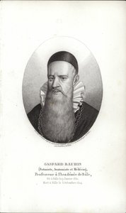 Gaspard Bauhin autorstwa Swiss School