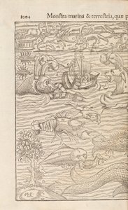 Strona 1004 z Cosmographiae Universalis Sebastiana Muenstera, Bazylea, 1572 autorstwa Swiss School