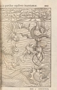 Strona 1005 z Cosmographiae Universalis Sebastiana Muenstera, Bazylea, 1572 autorstwa Swiss School