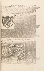 Strona 983 z Cosmographiae Universalis Sebastiana Muenstera, Bazylea, 1572 autorstwa Swiss School