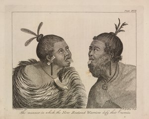 L.R.294.c.7, płyta XVII nowozelandzcy wojownicy