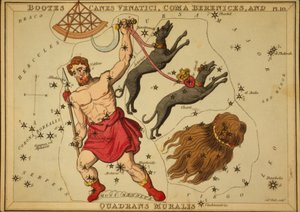 Bootes Canes Venatici, Coma Bereniki i Quadrans Muralis, ilustracja z „Zwierciadła Urania”