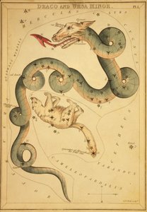 Draco i Ursa Minor, ilustracja z „Zwierciadła Urania”