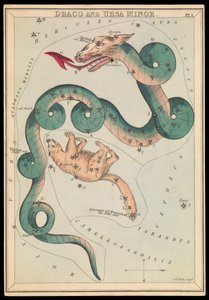 Draco i Ursa Minor, ok. 1825 r. (karta, papier, bibułka) autorstwa Sydney Hall