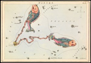 Ryby, ok. 1825 (karta, papier, bibułka) autorstwa Sydney Hall