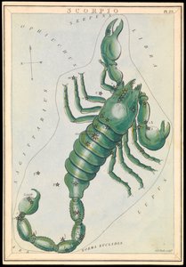 Scorpio, ok. 1825 (karta, papier, chusteczka)