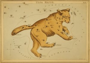 Wielka Niedźwiedzica, ilustracja z „Zwierciadła Urania”