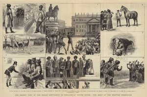 Niedawna wizyta kontyngentu indyjskiego w Anglii, w Stowe House, spotkanie z Grafton Foxhounds