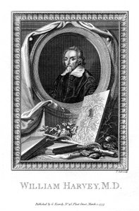 William Harvey, lekarz medycyny, 1777. autorstwa T. Cook