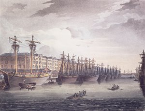 Doki w Indiach Zachodnich autorstwa T. and Pugin A.C. Rowlandson