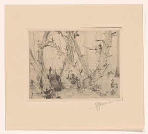 leśny widok autorstwa T. Sterrenburg (signed by artist)