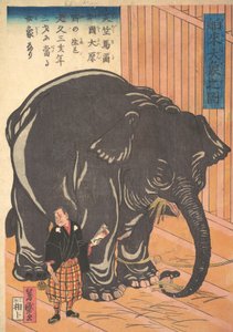 Widok dużego importowanego słonia, 1863 Bunkyo 3, 4 miesiąc. autorstwa Taguchi Yoshimori