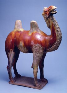 Camel, dynastia Tang (ceramika szkliwiona polichromią)