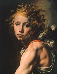Figura Dawida, fragment Dawida z głową Goliata, Tanzio da Varallo (1575-1635) autorstwa Tanzio da Varallo