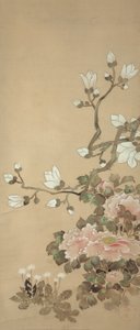 Piwonie, magnolia i mlecze