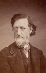 Portret Johna Petera Lesleya 1819-1903, grudzień 1875. autorstwa Taylor and Brown