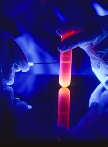 Ekstrakcja nukleotydów RNA z plastikowej probówki wirówkowej. autorstwa Ted Spiegel