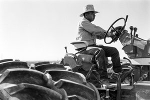 Rodzinny rolnik Ed Ker z A.M. Ker Ranch zajmuje się uprawą roślin... autorstwa Ted Spiegel