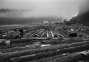 Operacje pozyskiwania drewna przez Georgia-Pacific Corp. w lasach Oregonu ... autorstwa Ted Spiegel