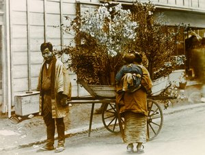 Wędrowny sprzedawca kwiatów na ulicach Tokio, około 1900-1915 (zdjęcie)