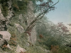 na drodze do wodospadów Kegon w Nikko, około 1900-1915 (zdjęcie) autorstwa Teijiro Takagi