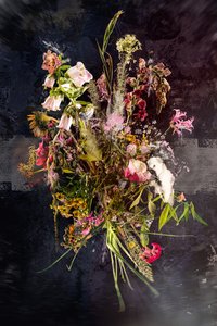Bukiet XXVIII, 2019 (zdjęcie) autorstwa Teis Albers