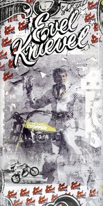 Evel Knievel, 2015 (Kolaż na płótnie) autorstwa Teis Albers