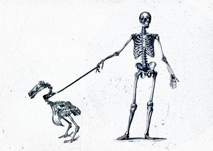 Walking my dodo, 2015 (media mieszane na płótnie) autorstwa Teis Albers