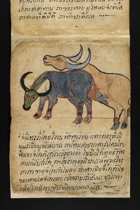 Lub. 16482, f.15 „Satra”  O wróżbiarstwie i poradach dotyczących szczęśliwego i zdrowego życia (książka składana papierowa) autorstwa Thai School